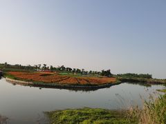 -洪湖湿地生态园