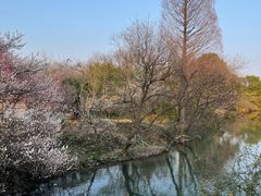 -西溪国家湿地公园