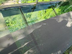 -仙岛湖旅游风景区
