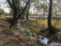 -佛手湖郊野公园