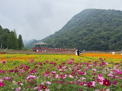 -广州市石门国家森林公园