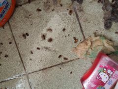 -港龙棋牌桌球城(上沙店)