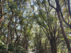 -上海市保健医疗中心