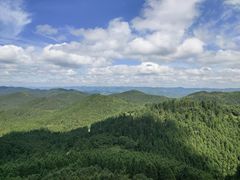 -武陵山森林公园