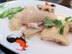 -红星光发煲仔饭(文海店)