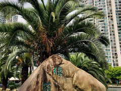 景点-苏州河梦清园环保主题公园