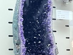 -浙江自然博物院(杭州馆)