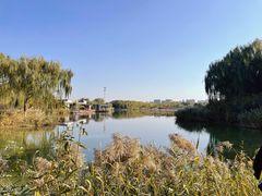 -大兴滨河森林公园