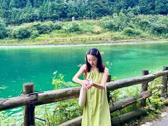 -武陵山森林公园