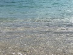 -花海间·即刻露营