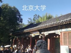 -北京大学赛克勒考古与艺术博物馆