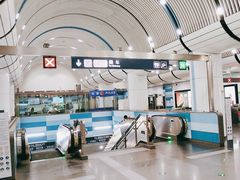 -大望路(地铁站)