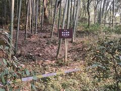 -上海佘山国家森林公园天马山园