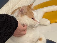 -平行世界·猫咖(首经贸店)