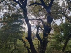 -塔川景区