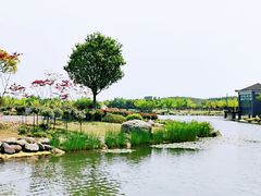-上海鲜花港