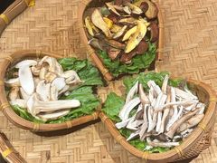 -滇野云南野生菌餐厅(陕西南路店)