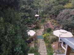 -谷咖啡·鲜花绿植花园餐厅