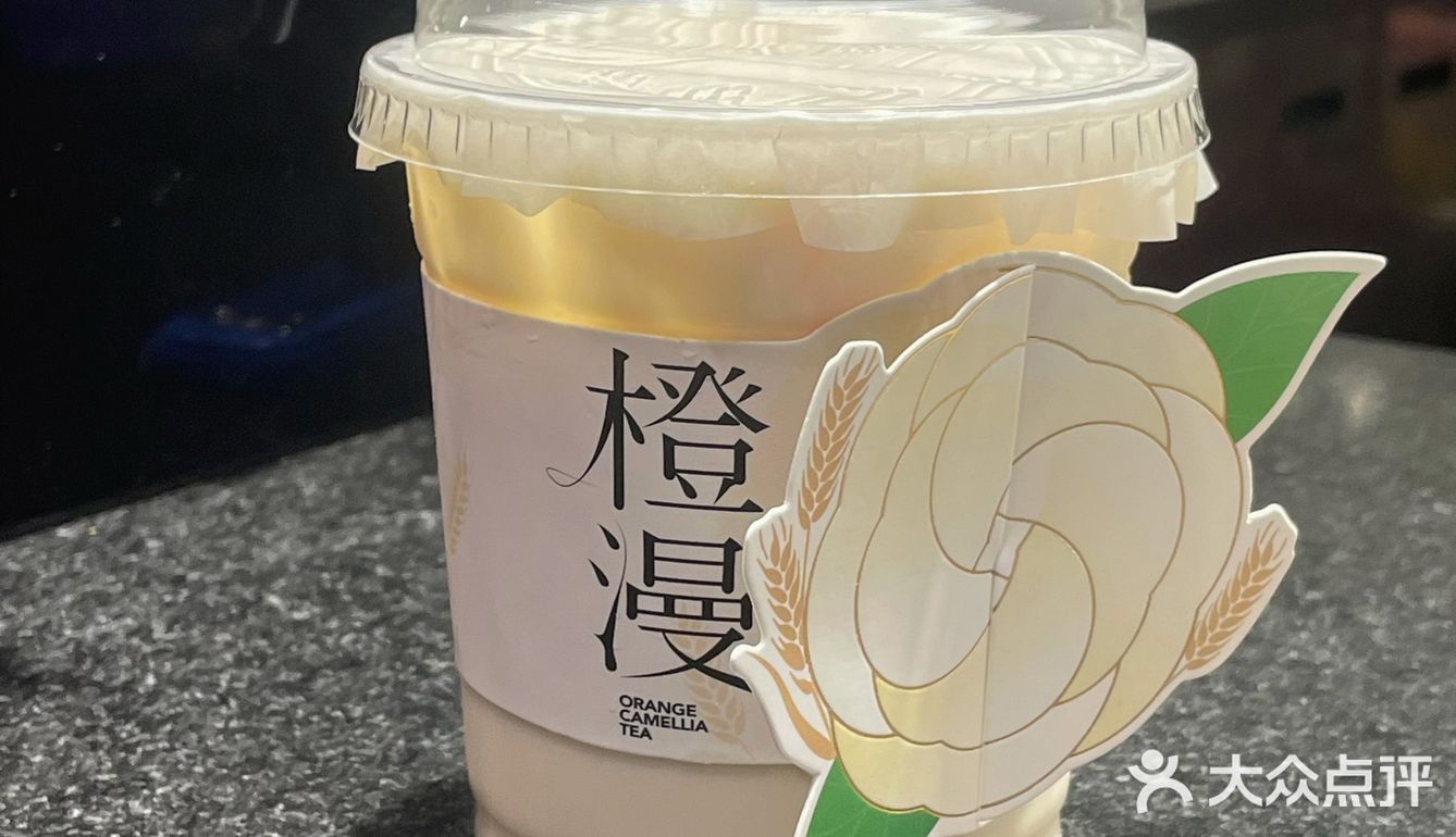 书亦山茶花🍃｜也没那么难喝吧