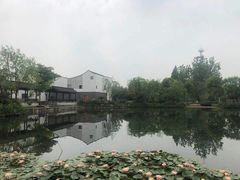 -东梓关景区村庄