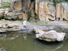 -燕塞湖鸟语林景区