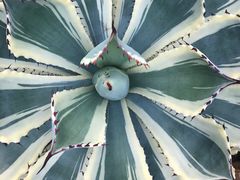 -北京植物园-展览温室