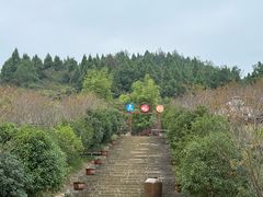 -天眼洞·花岭风景区