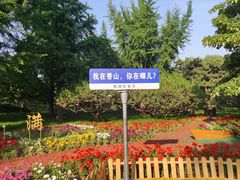 -香山公园