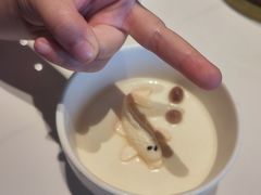 -东方早茶 海鲜•青岛菜(国信体育中心店)
