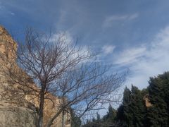-彩色沙林风景区