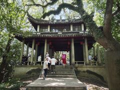 -溪口-滕头旅游景区