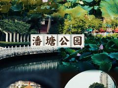 -潘塘公园