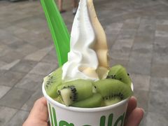 -Salud撒露欧洲冻酸奶(蓝色港湾店)