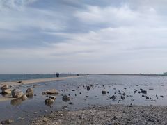 -天津东疆湾沙滩景区