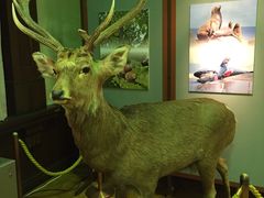 -北海道厅旧本厅舍(旧本庁舎)