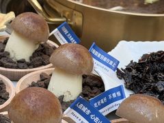 -大理董·董家小厨野生菌火锅(古城旗舰店)