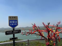 -天目湖山水园