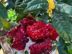 -卷心卷意·轻甜蛋糕(新光天地店)