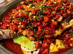 -锦尚阁烤鱼(望京新荟城店)