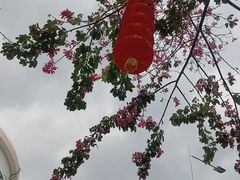 -荔湾区儿童公园