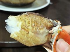 -龙海鲜螃蟹王(宏茂桥店)