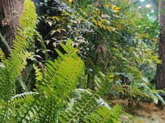 -时间仓(月湖公园店)