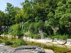 -吴淞炮台湾湿地森林公园烧烤区