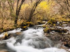 -叠溪松坪沟景区