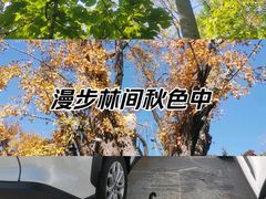 -石老人观光园