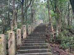 -梧桐山风景名胜区