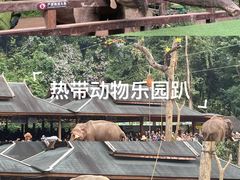 -野象谷景区