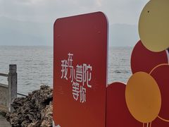 -小普陀