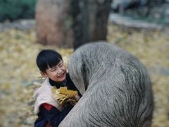 -华雅花园大酒店