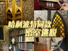 -谜盒子奇幻密室(南屏店)